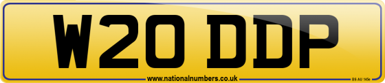 W20 DDP