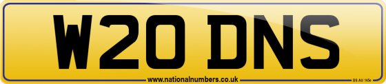 W20 DNS