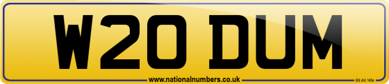 W20 DUM