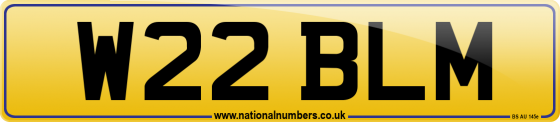 W22 BLM