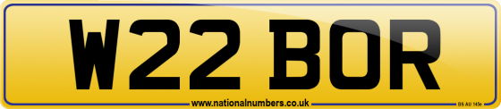 W22 BOR