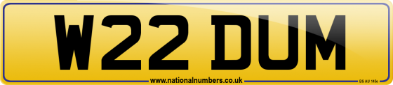 W22 DUM