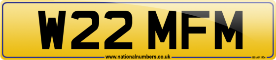 W22 MFM