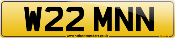 W22 MNN