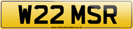 W22 MSR