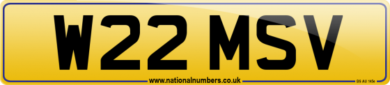 W22 MSV