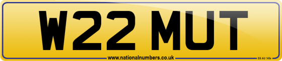 W22 MUT