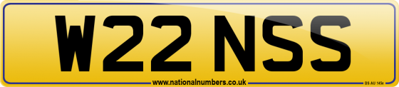 W22 NSS