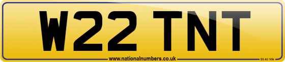 W22 TNT
