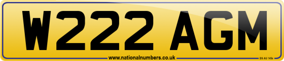 W222 AGM