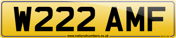 W222 AMF