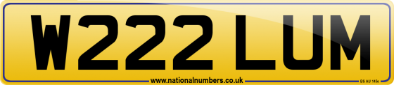 W222 LUM