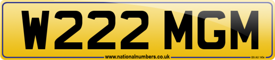 W222 MGM