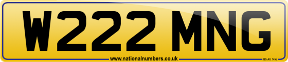 W222 MNG