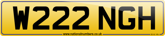 W222 NGH