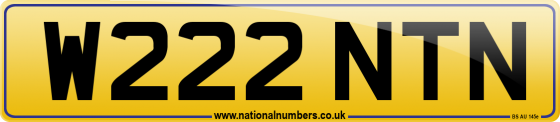 W222 NTN