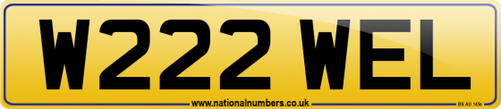 W222 WEL