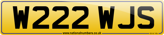 W222 WJS