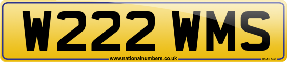 W222 WMS