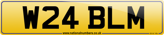 W24 BLM