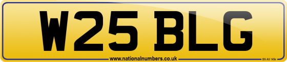 W25 BLG