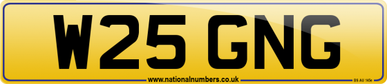 W25 GNG