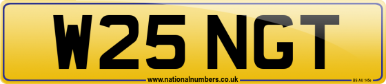 W25 NGT