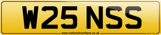 W25 NSS