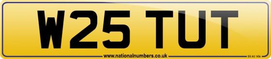 W25 TUT