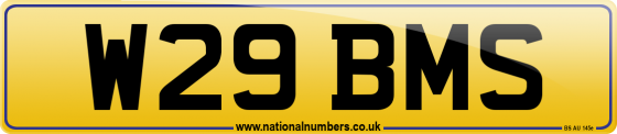 W29 BMS