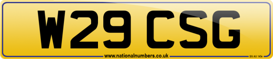 W29 CSG