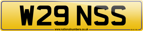 W29 NSS