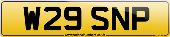 W29 SNP