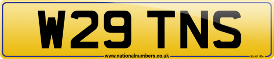 W29 TNS