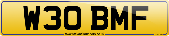 W30 BMF
