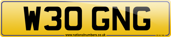 W30 GNG
