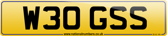 W30 GSS