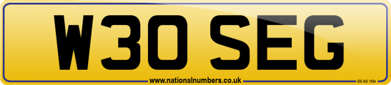 W30 SEG