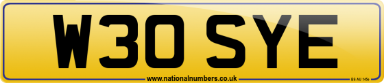 W30 SYE
