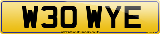 W30 WYE