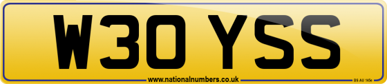 W30 YSS