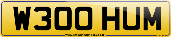 W300 HUM