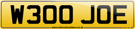 W300 JOE