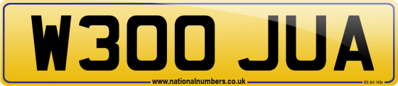 W300 JUA