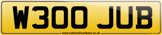 W300 JUB