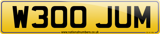 W300 JUM