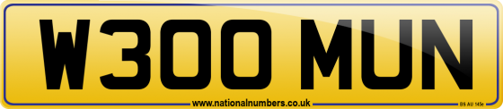 W300 MUN