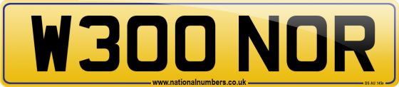 W300 NOR
