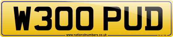 W300 PUD