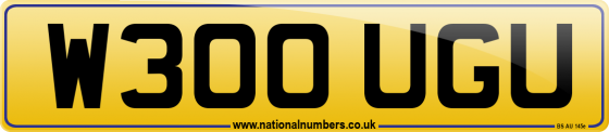 W300 UGU
